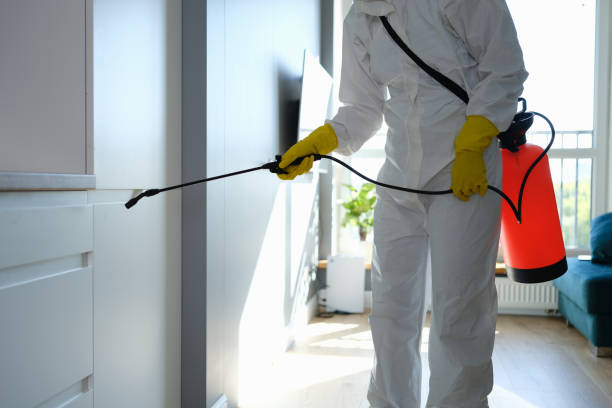 Best Mold Cleaning Services  in Durand, WI