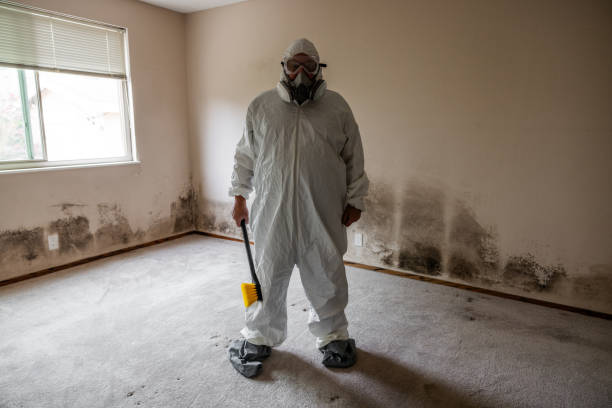 Best Office Mold Removal Services  in Durand, WI